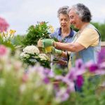 How to Use Gardening for Physical and Mental Wellness in Older Adults