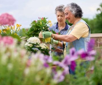 How to Use Gardening for Physical and Mental Wellness in Older Adults