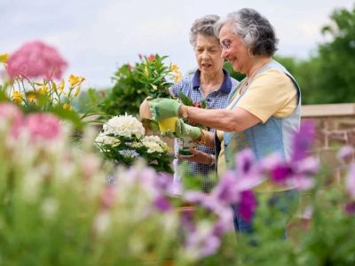 How to Use Gardening for Physical and Mental Wellness in Older Adults